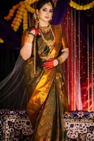 ব্লাউজ পিস সহ কাঞ্চিপুরম শাড়ী